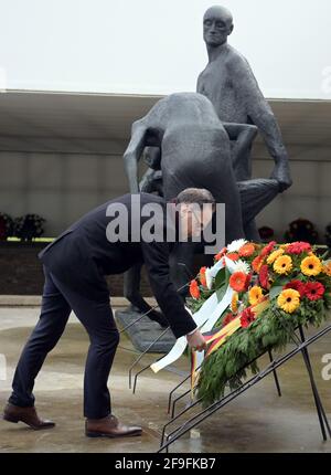 18. April 2021, Brandenburg, Oranienburg: Der Bundesminister des Auswärtigen, Heiko Maas (SPD), arrangiert im Rahmen der Zentralen Gedenkfeiern zum Befreiungstag die Bänder eines Kranzes der Bundesregierung auf der Gedenkstätte "Station Z" der Gedenkstätte Sachsenhausen bei Waldemar Grzimeks Figurengruppe. "Station Z" war der Name, den die SS einem Anfang 1942 errichteten Gebäude gab, das ein Krematorium und ein Ort der Vernichtung war. 'Z' als letzter Buchstabe des Alphabets stand zynisch für die letzte Station im Leben eines Gefangenen. Foto: Soeren Sache/dpa-Zentralbild/POOL/dpa Stockfoto