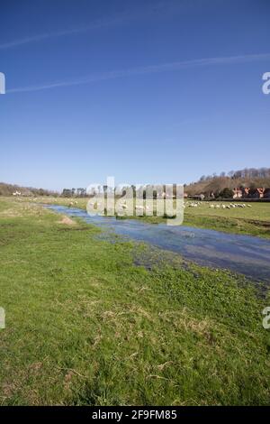 4. April 2021 - Bucks, UK: Portrait der englischen Landschaft mit Stream Stockfoto