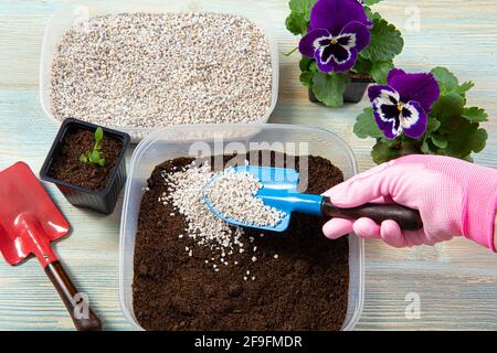 Das Mischen von Perlite-Granulat-Pellets mit schwarzem Gartenboden verbessert die Wasserretention, den Luftstrom, die Belüftung und die Wurzelwachstumsfähigkeit aller wachsenden Pflanzen. Stockfoto