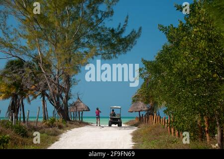 Rückansicht eines jungen Touristen-Paares, das einen Golfwagen in den weißen tropischen Sandstrand auf der Insel Holbox in Mexiko fährt. Konzept Tourismus Stockfoto