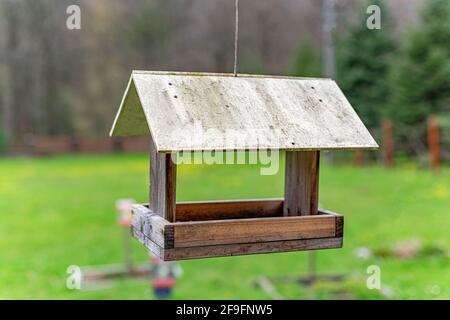 Vogelfutterhäuschen im Wald. Stockfoto