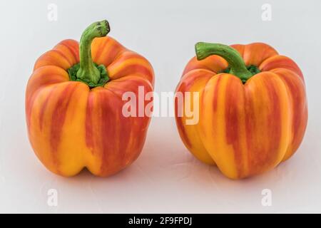 Zwei orangefarbene und rote Paprikaschoten (Paprika) auf weißem Hintergrund, horizontal. Stockfoto