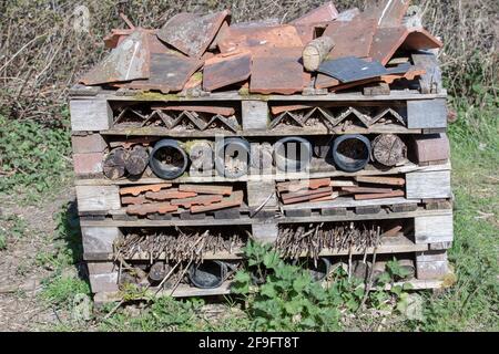Insektenhotel in England, Großbritannien. Stockfoto