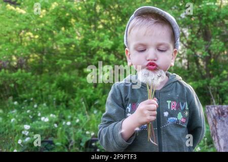 Glückliches Kind weht Dandelion machen einen Wunsch im Freien im Frühling Park. Blonde kaukasischen Jungen in einer Mütze und lässige Kleidung ruhen auf dem Land Stockfoto