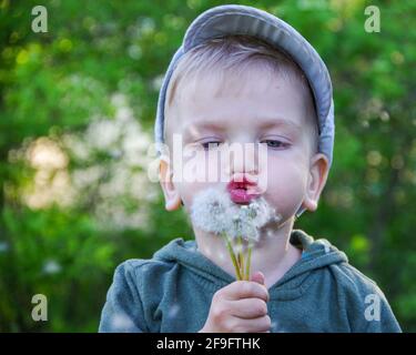 Glückliches Kind weht Dandelion machen einen Wunsch im Freien im Frühling Park. Blonde kaukasischen Jungen in einer Mütze und lässige Kleidung ruhen auf dem Land Stockfoto