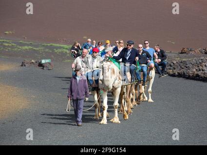 Nationalpark Timanfaya, Lanzarote, Kanarische Inseln, Spanien. Touristischer Kamelzug in vulkanischer Landschaft. Stockfoto