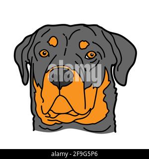 Rottweiler Hunderasse Haustier Porträt isoliert auf weißem Hintergrund, Vektor-Illustration. Stock Vektor