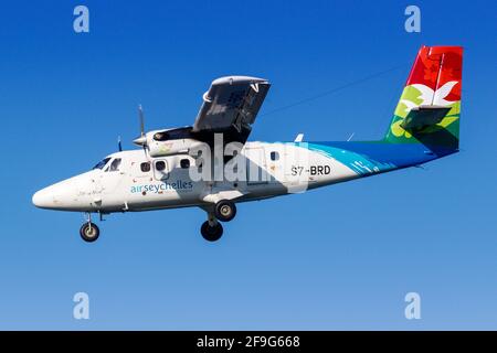 Mahe, Seychellen - 24. November 2017: Flugzeug der Air Seychelles DHC-6-400 am Seychelles International Airport (SEZ) auf den Seychellen. Stockfoto