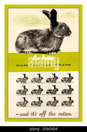 Britischer Propaganda-Plakat zur Rationierung von Lebensmitteln aus dem 2. Weltkrieg in Großbritannien: „One Rabbit and it's off the ration“. ' hat mindestens 12 Junge in einem Jahr 45 Pfund Fleisch' Land: Großbritannien. Jahr: 1940er-Jahre-zweiter Weltkrieg Stockfoto