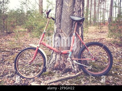 Altes gebrochenes rostes Fahrrad in einem Wald, farblich getöntes Bild. Stockfoto