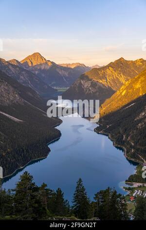 Blick vom Gipfel des Schönjoechl auf Plansee und Berge, Morgensonne, Ammergauer Alpen, Reutte, Tirol, Österreich Stockfoto