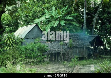 Hütten im Wald - Ile Sainte Marie - Madagaskar 1982 (Foto auf Fotofilm) Stockfoto