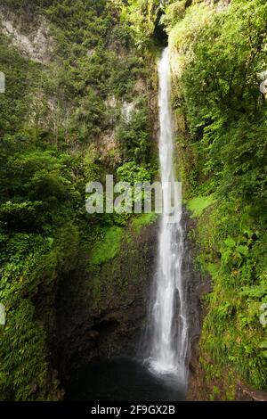 Wasserfall Middleham Falls, Morne Trois Pitons National Park, Kleine Antillen, Leeward Islands, Dominica Stockfoto