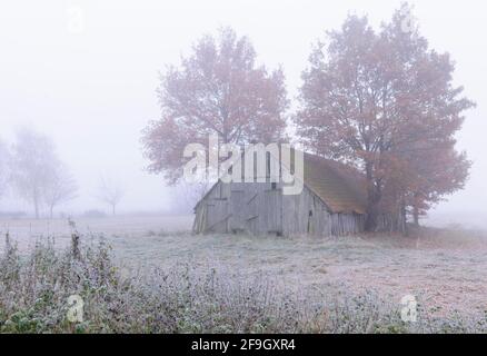 Feldscheune im Nebel, Niedersachsen, Deutschland Stockfoto