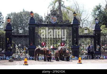 Sandringham, Großbritannien. April 2021. Hannah Whyman-Naveh, Carole Fox und Julie Southwell mit ihrem Fell Ponies Shadow (26, links) und Yogi (16) kommen am Tag seiner Beerdigung, dem 17. April 2021, zu den Norwich Gates vor dem Sandringham House in Norfolk, um Prinz Philip Duke von Edinburgh zu ehren.Quelle: Paul Marriott/Alamy Live News Stockfoto