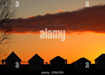 Heacham, Großbritannien. April 2021. Ein Hund, der bei Sonnenuntergang gegen den orangenen Himmel geschildet wird, spaziert entlang der Promenade hinter diesen Strandhütten in Heacham, Norfolk. Kredit: Paul Marriott/Alamy Live Nachrichten Stockfoto