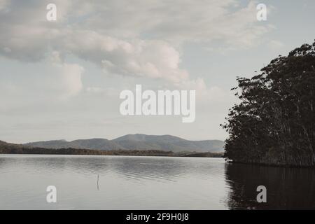 Die Landschaft in der Abenddämmerung am Queens Lake, New South Wales Stockfoto