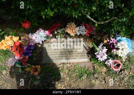 18. April 2021: Bonnie Parker und Clyde Barrow fuhren am 23. Mai 1934 um 9:15 UHR IN eine Falle in der Nähe ihres Versteckes am Black Lake, Louisiana, und wurden in einer Staustufe von 167 Kugeln niedergeschossen. Bonnie Parker wurde voller Kugeln gefunden, die ein Maschinengewehr, ein Sandwich und eine Packung Zigaretten hielten.Clyde Barrow, kaum erkennbar, hielt einen Revolver fest.Obwohl sie im Leben miteinander verbunden waren, wurden Bonnie und Clyde in den Tod gespalten. Während das Paar Seite an Seite begraben wollte, ließ Bonnie's Mutter, die ihre Beziehung zu Clyde abgelehnt hatte, ihre Tochter auf einem separaten Friedhof in Dallas begraben. Cl Stockfoto