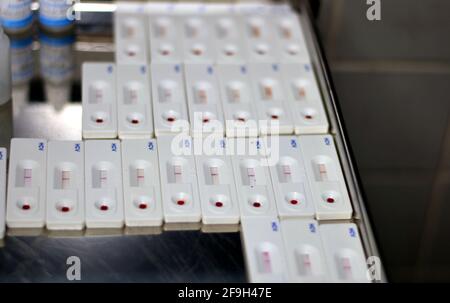 Negative Ergebnisse für die Kassette mit Hepatitis C-Schnelltests zur Prüfung von Antikörpern gegen das Hepatitis C-Virus Stockfoto