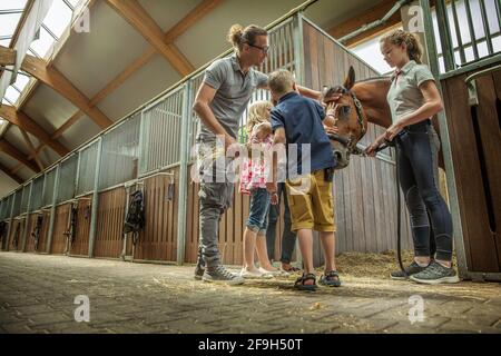 Nahaufnahme einer slowenischen Familie, die ein Braun streicheln soll Pferd in einem Stall Stockfoto