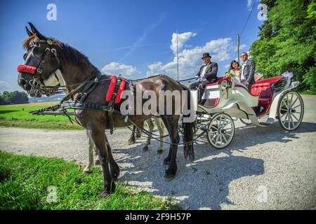 DOMZALE, SLOWENIEN - 30. Jun 2019: Frisch verheiratetes Paar in weißer Kutsche an einem schönen sonnigen Tag Stockfoto