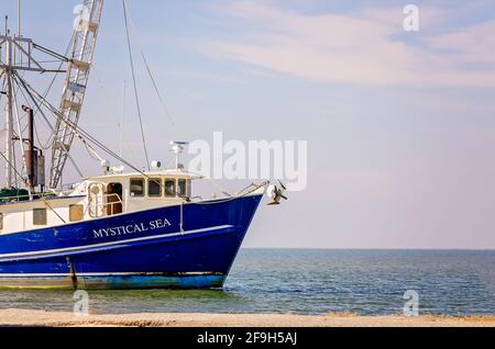 Das „Mystical Sea“-Garnelenboot macht sich auf den Weg nach Hause von einer Garnelenfahrt am 23. November 2012 in Bayou La Batre, Alabama. Stockfoto