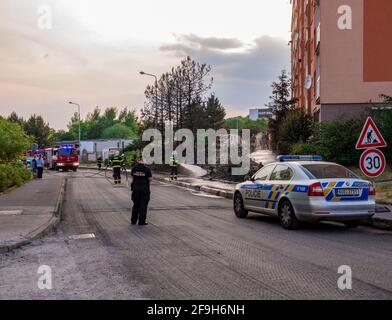 Usti nad Labem, Tschechische republik - 5.29.2018: Feuerwehrleute beseitigen das Feuer von Büschen und Bäumen mit Wasser aus Schläuchen Stockfoto