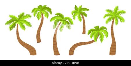 Kokosnuss Palme flach Cartoon-Set. Tropische Palmen, Design-Element der Natur. Handgezeichneter Baum mit Blättern, reifen und jungen Pflanzen aus tropischem Wald. Isoliert auf weißer Vektorgrafik Stock Vektor