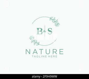 BS Letters Botanical Feminine Logo Vorlage floral, editierbar vorgefertigte Monoline Logo geeignet, Luxus feminine Hochzeit Branding, Corporate. Stock Vektor