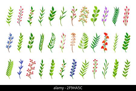 Gebogene grüne Äste gesetzt. Handgezeichnetes florales Element aus Blatt, buntem Zweig, Beere. Florale Blume Ornament Element für Rahmen, Grenze, Trennwand. Ideal für Grußkarte, Poster Vektor Illustration Stock Vektor