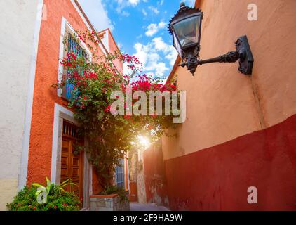 Guanajuato, Mexiko, malerische gepflasterte Straßen und traditionelle farbenfrohe Kolonialarchitektur im historischen Stadtzentrum von Guanajuato. Stockfoto