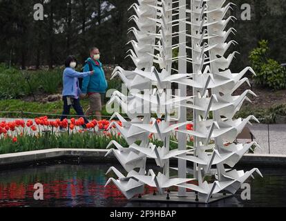 St. Louis, Usa. April 2021. Besucher halten am Sonntag, den 18. April 2021, an, um sich die Master Peace Sculpture in der Nähe des Climatron in den Missouri Botanical Gardens in St. Louis anzusehen. Die Skulptur ist eine von 18 vom Künstler Kevin Box aus Santa Fe und seinem Origami in the Garden geschaffenen Installationen, die bis Oktober Vögel, Ponys, Boote, Kraniche und Schmetterlinge zeigen. Foto von Bill Greenblatt/UPI Credit: UPI/Alamy Live News Stockfoto