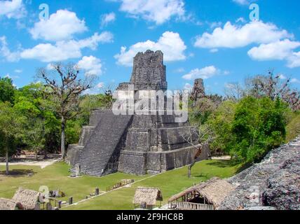 Alte Tikal Pyramiden in Guatemala. Stockfoto