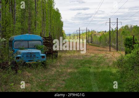 Verlassene blaue Bus im Feld entlang von Bäumen gesäumten Stromleitung Stockfoto