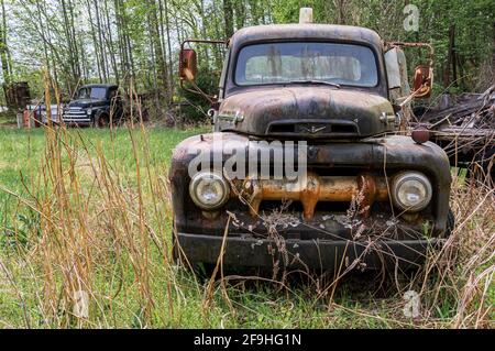 Verlassene verrostete Chevrolet LKW im Feld mit Lastwagen im Hintergrund, Gras wächst vor dem LKW Stockfoto