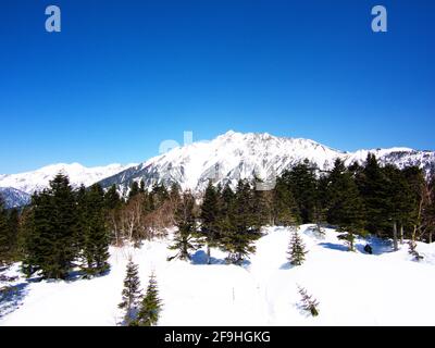 Ein Blick auf den Schneeberg von der Shinhotaka-Seilbahn im Bergpark der Gifu-Präfektur am Frühlingstag mit grünen Kiefernwäldern. In der Nähe von Takayama City, Japan in Stockfoto