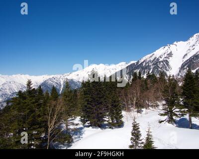 Ein Blick auf den Schneeberg von der Shinhotaka-Seilbahn im Bergpark der Gifu-Präfektur am Frühlingstag mit grünen Kiefernwäldern. In der Nähe von Takayama City, Japan in Stockfoto
