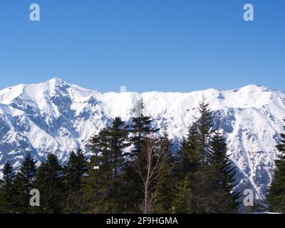 Ein Blick auf den Schneeberg von der Shinhotaka-Seilbahn im Bergpark der Gifu-Präfektur am Frühlingstag mit grünen Kiefernwäldern. In der Nähe von Takayama City, Japan in Stockfoto