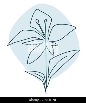 Blumendekor, blühende Blume in Linie Art Vektor Stock Vektor