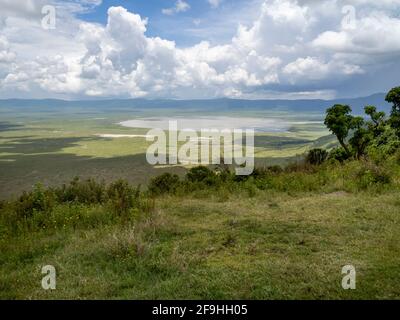 Ngorongoro Krater, Tansania, Afrika - 1. März 2020: Panoramaficht auf den Ngorongoro Krater von oben Stockfoto