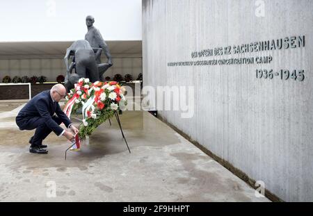 18. April 2021, Brandenburg, Oranienburg: Der Ministerpräsident von Brandenburg, Dietmar Woidke (SPD), arrangiert im Rahmen der zentralen Gedenkveranstaltungen zum Befreiungstag die Bänder eines Kranzes der Landesregierung auf der Gedenkstätte "Station Z" der Gedenkstätte Sachsenhausen bei Waldemar Grzimeks Figurengruppe. „Station Z“ war der Name, den die SS einem Anfang 1942 errichteten Gebäude gab, das ein Krematorium und eine Vernichtungsstätte war. 'Z' als letzter Buchstabe des Alphabets stand zynisch für die letzte Station im Leben eines Gefangenen. Foto: Soeren Sache/dpa-Zentralbild/POOL/dpa Stockfoto