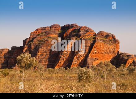 Orangefarbene Kuppeln der Bungle Bungle Range, Purnululu National Park, Western Australia Stockfoto