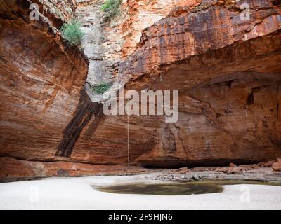 Bungle Bungle Range vom Kungkalahayi Lookout, Purnululu National Park aus gesehen. Stockfoto