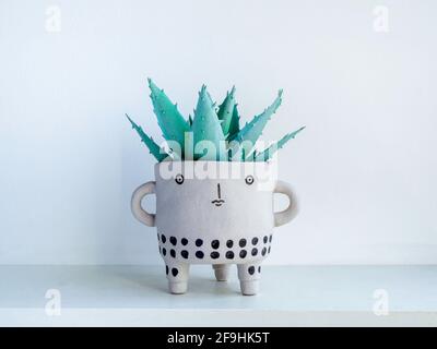 Niedliches Gesicht Keramik-Pflanzentopf mit grünen saftigen Pflanze auf weißem Holzregal isoliert auf weißem Wandhintergrund. Kleiner moderner DIY Zementsättel trendy Stockfoto