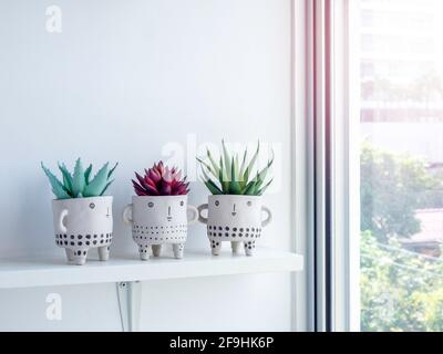 Drei niedliche Keramik-Pflanzentöpfe mit roten und grünen saftigen Pflanzen auf weißem Holzregal auf weißem Hintergrund in der Nähe des Glasfensters. Kleine moderne DIY c Stockfoto