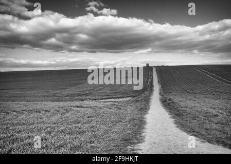 Einige der ländlichen Gebiete Großbritanniens in den Feldern von Knebworth In schwarz-weißer Fine Art Form Stockfoto