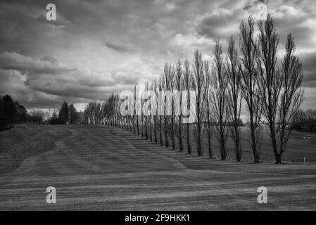 Einige der ländlichen Gebiete Großbritanniens in den Feldern von Knebworth In schwarz-weißer Fine Art Form Stockfoto