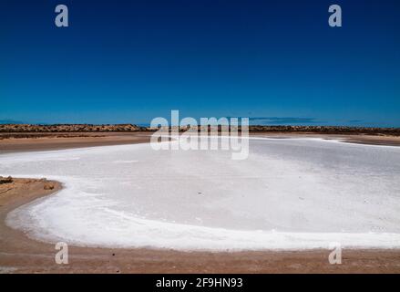 Salt Lake in der Nähe des Lake Macleod auf der Blowholes Rd bei Carnarvon, Westaustralien Stockfoto