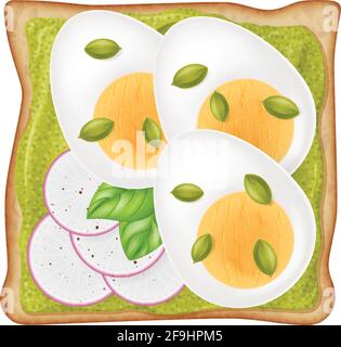 Toast mit Avocado-Creme, gekochtem Ei, in Scheiben geschnittenem Rettich, Kürbiskernen und frischen, auf weißem Hintergrund isolierten Orangenblättern. Fotorealistische Vect Stock Vektor