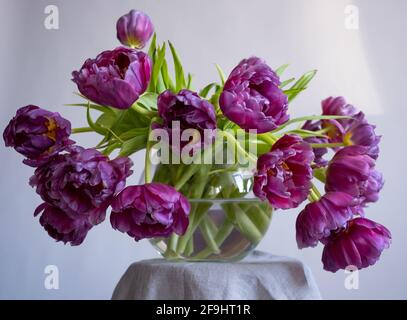 Schöne Tulpen in einer Glasvase Stockfoto